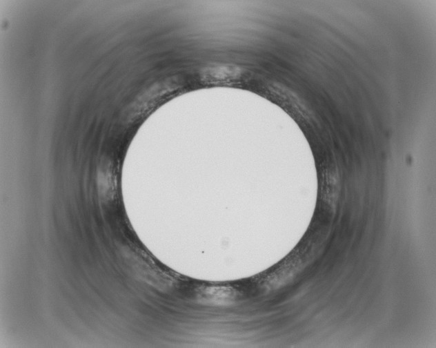 X0000086110324200704202312