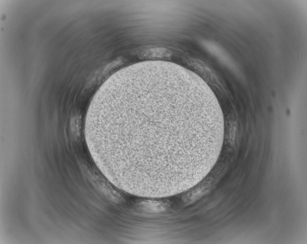 X0000086110326200704202312