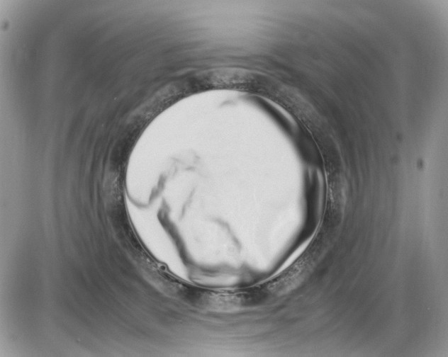 X0000086110327200704202312