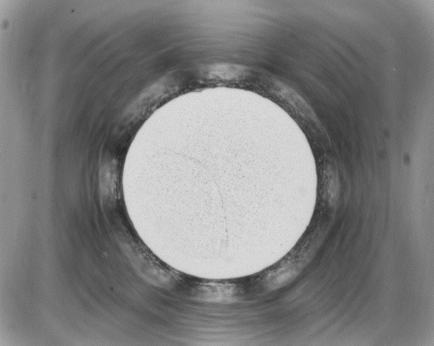 X0000086110328200704202312