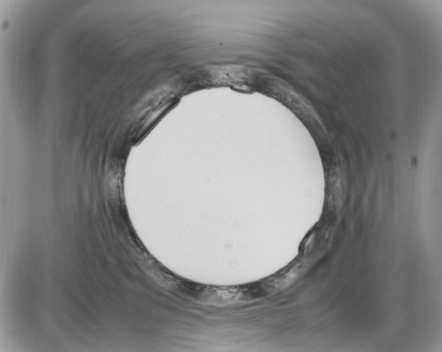 X0000086110329200704202312