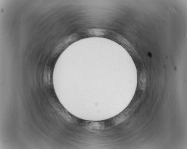 X0000086110330200704202312