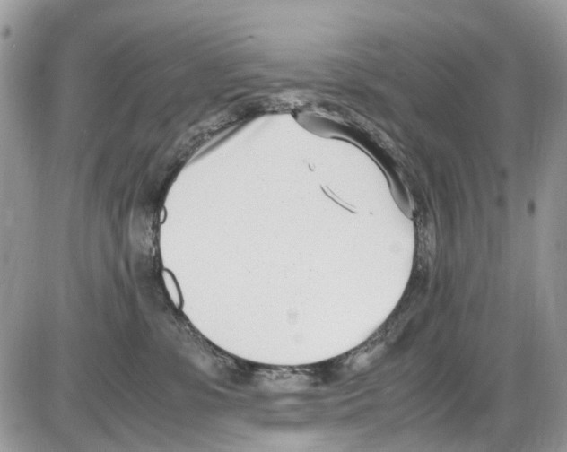 X0000086110331200704202312