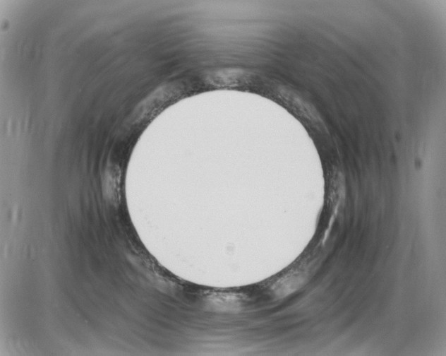 X0000086110332200704202312