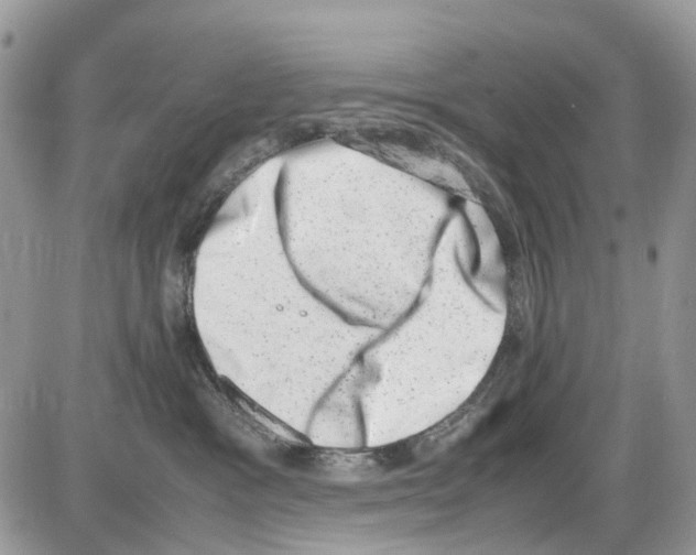 X0000086110333200704202312