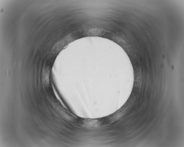 X0000086110334200704202312