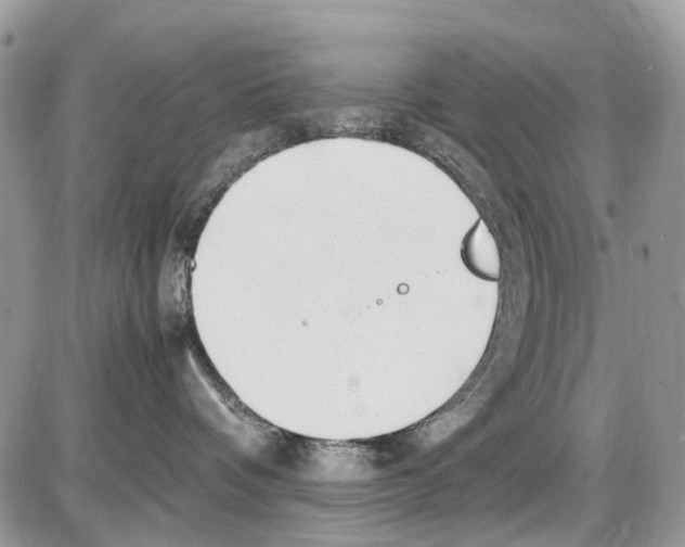 X0000086110336200704202312