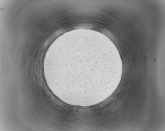 X0000086110337200704202311