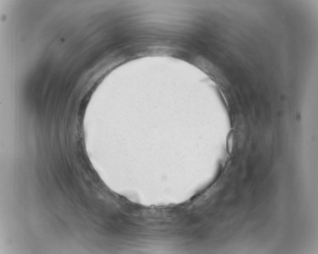 X0000086110338200704202311