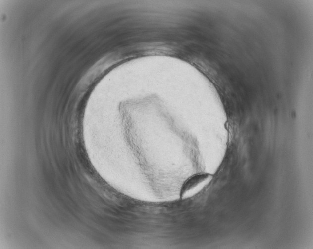 X0000086110339200704202311