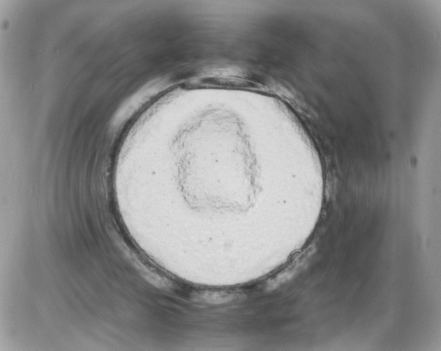 X0000086110341200704202311