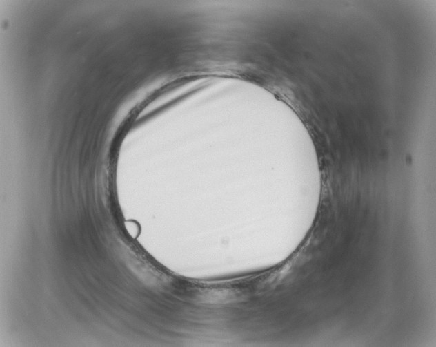 X0000086110342200704202311