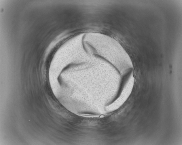 X0000086110343200704202311