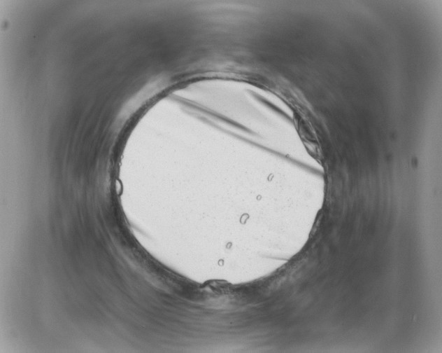 X0000086110344200704202311