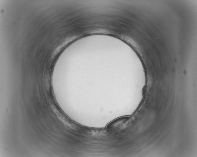 X0000086110345200704202311