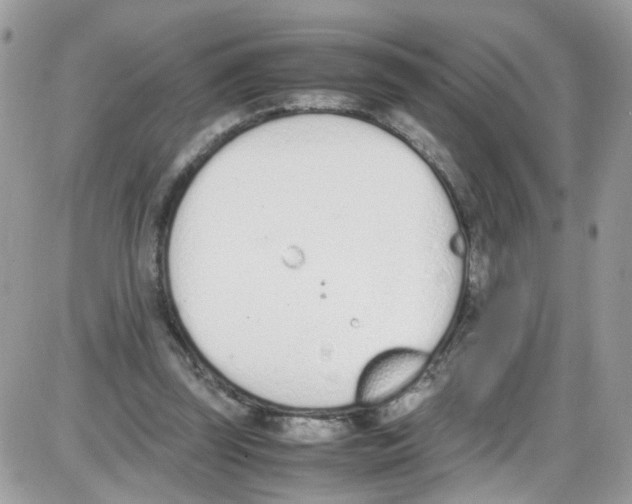 X0000086110347200704202311