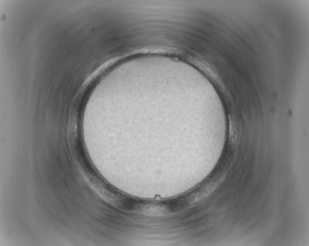 X0000086110348200704202311