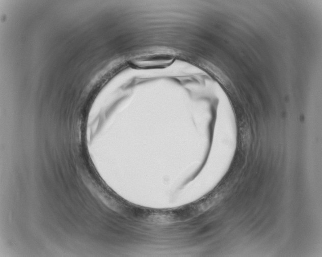 X0000086110350200704202311