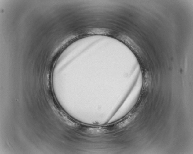 X0000086110351200704202311