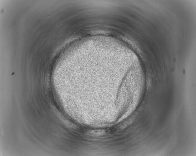 X0000086110353200704202311