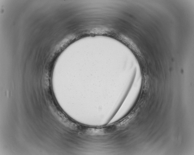 X0000086110354200704202311