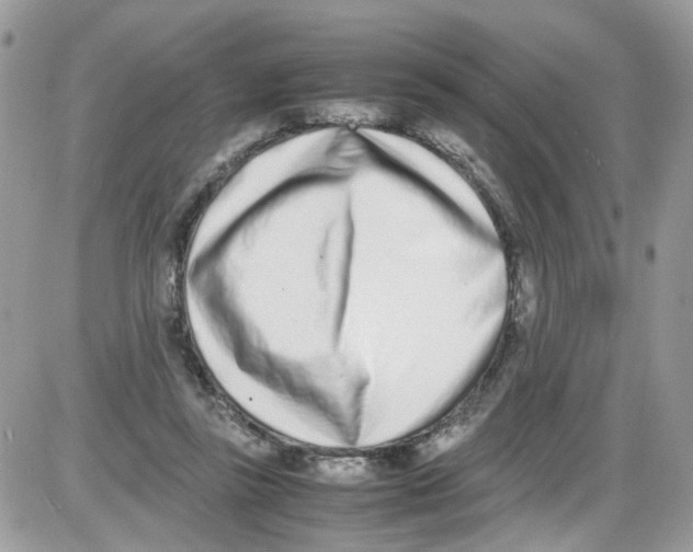 X0000086110355200704202311