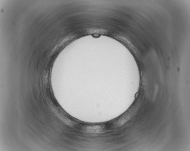 X0000086110357200704202311