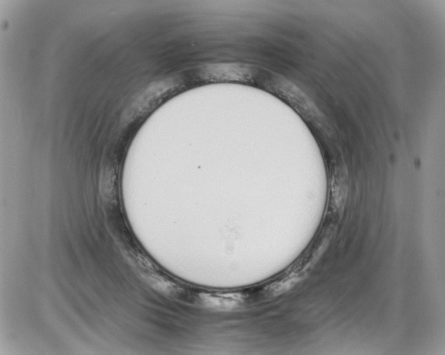 X0000086110359200704202311