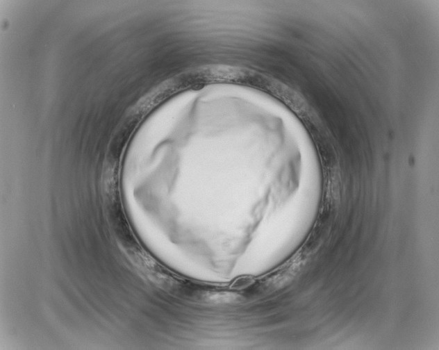 X0000086110360200704202311