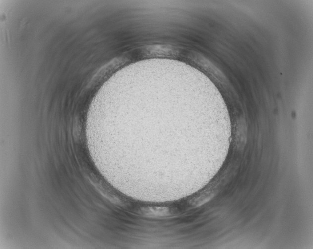 X0000086110361200704202311