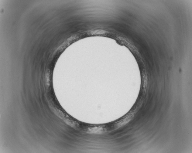 X0000086110362200704202311