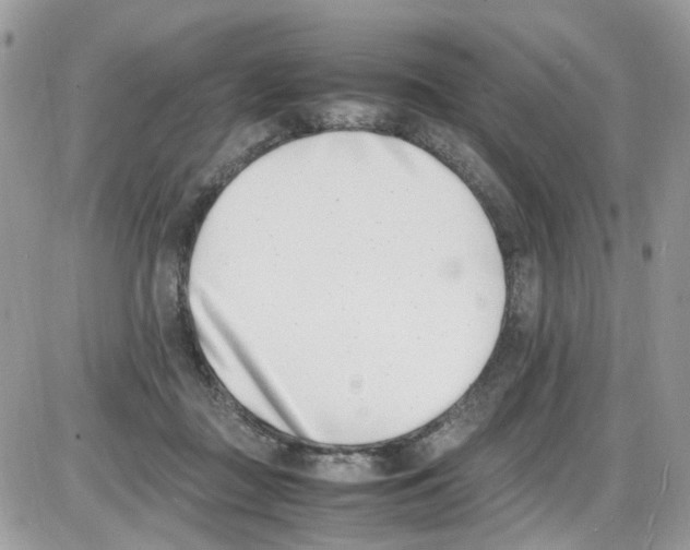 X0000086110363200704202311