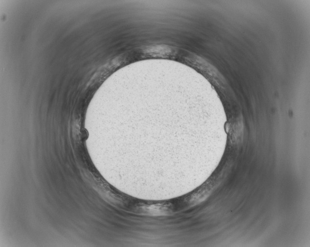 X0000086110365200704202311