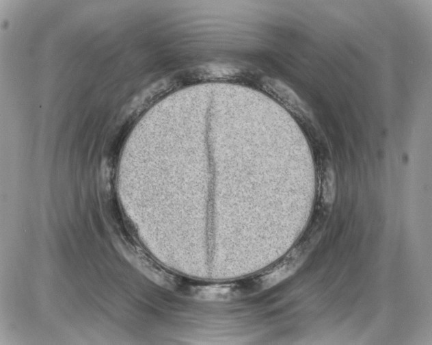 X0000086110366200704202312