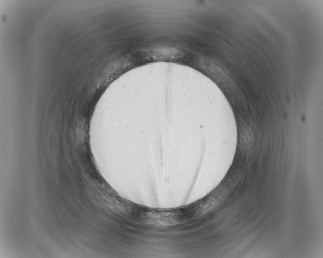 X0000086110367200704202312