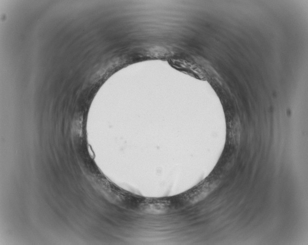 X0000086110368200704202312