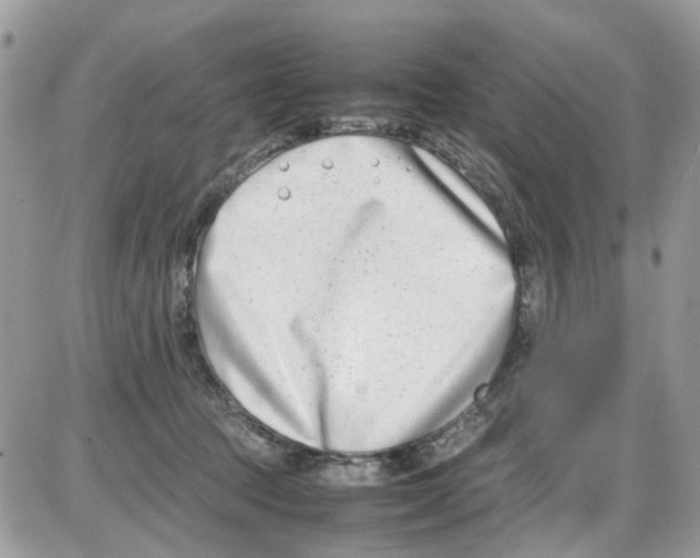 X0000086110369200704202312