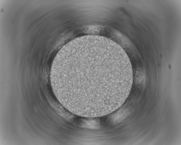 X0000086110370200704202312