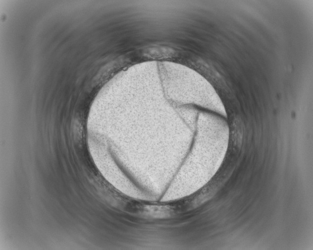 X0000086110371200704202312