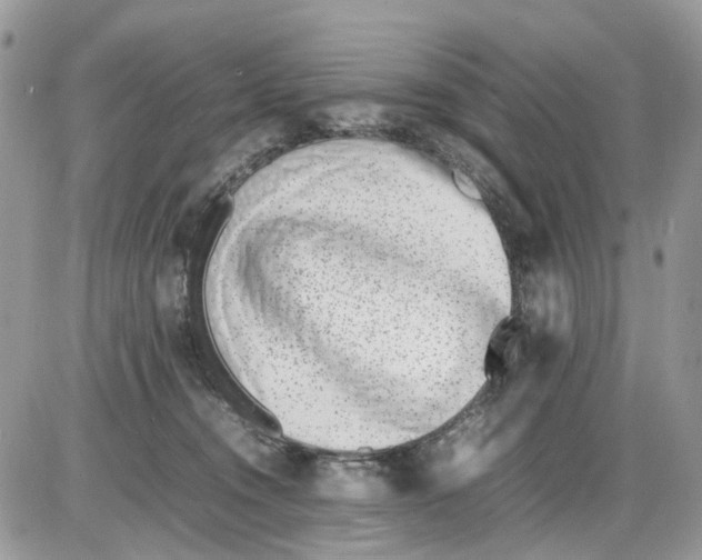 X0000086110372200704202312