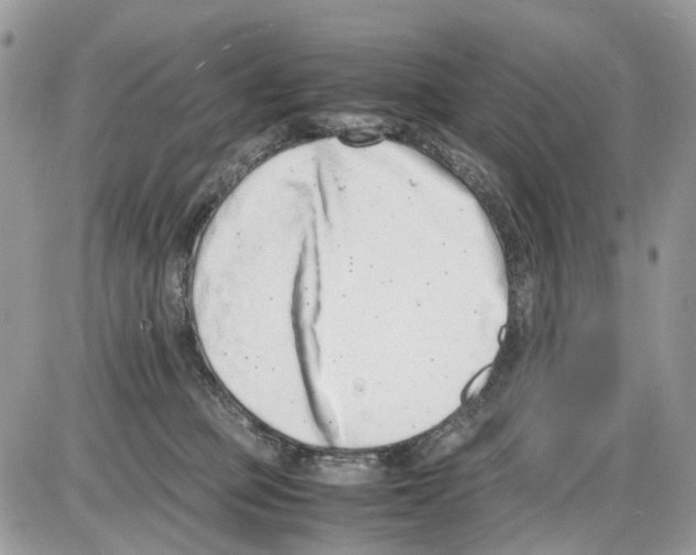 X0000086110373200704202312