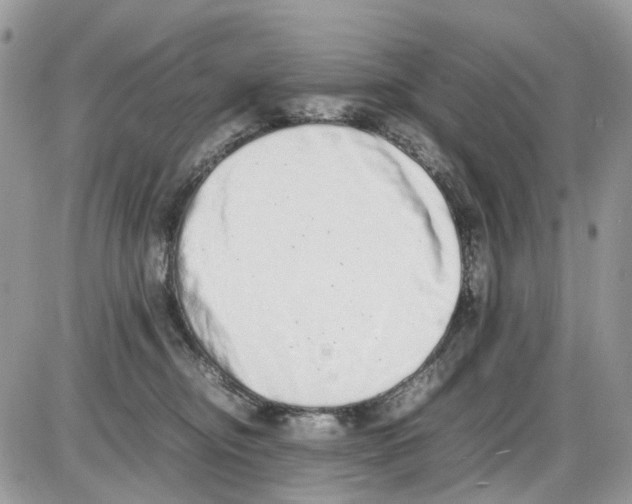 X0000086110374200704202312