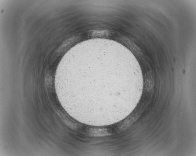 X0000086110375200704202312