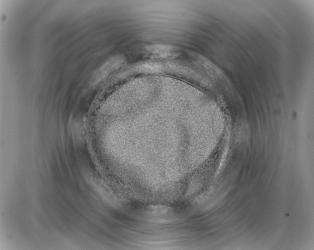 X0000086110376200704202312