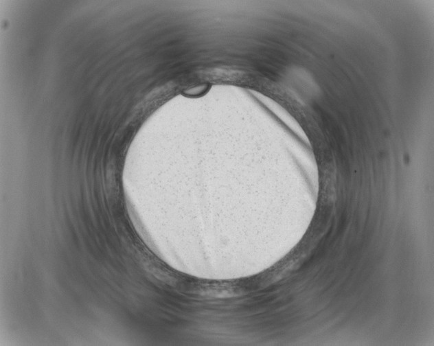 X0000086110377200704202312