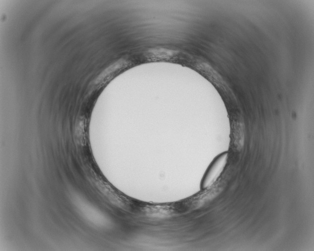 X0000086110378200704202312