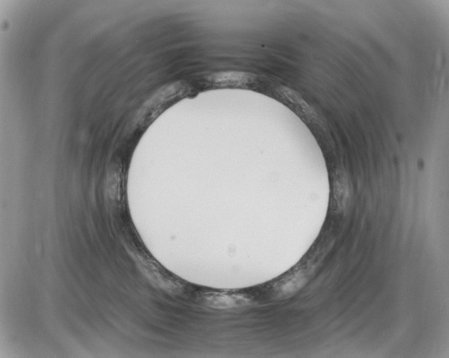 X0000086110379200704202312