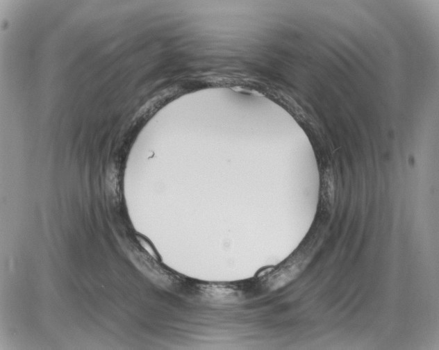 X0000086110380200704202312