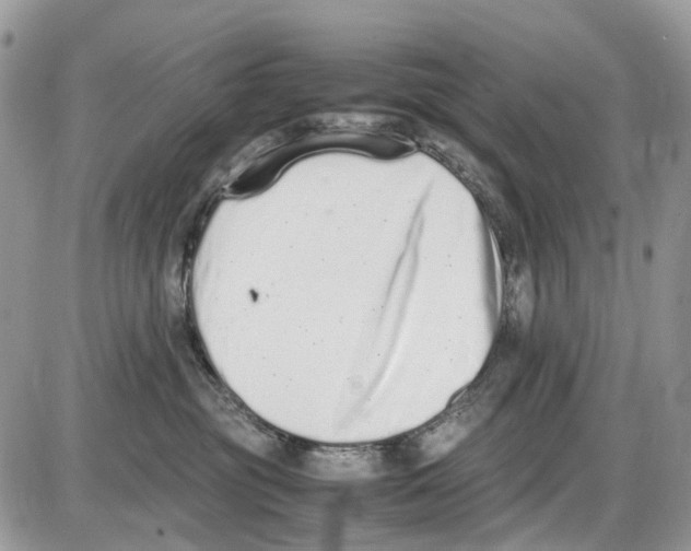 X0000086110381200704202312