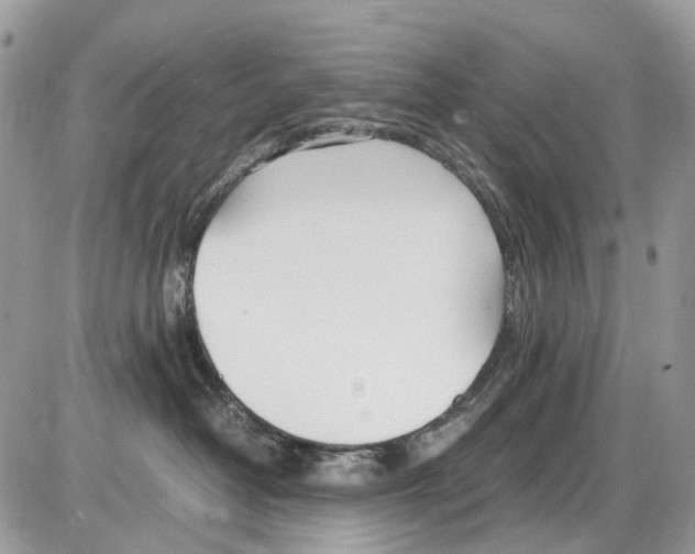 X0000086110382200704202312